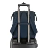 Besser als ein einfacher wandelbarer Rucksack Besser als ein einfacher wandelbarer Rucksack