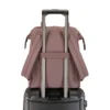 Besser als ein einfacher wandelbarer Rucksack Besser als ein einfacher wandelbarer Rucksack
