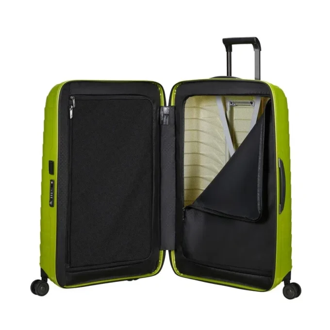 Proxis Large Spinner Proxis Large Spinner