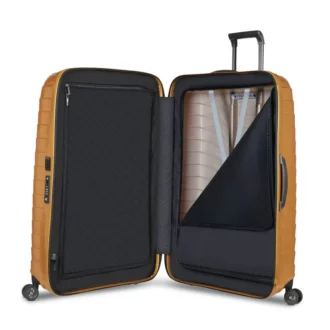 Proxis Large Spinner