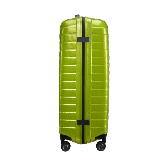 Proxis Large Spinner Proxis Large Spinner
